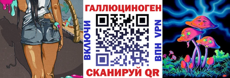 omg вход  как найти   Киров  Псилоцибиновые грибы прущие грибы 