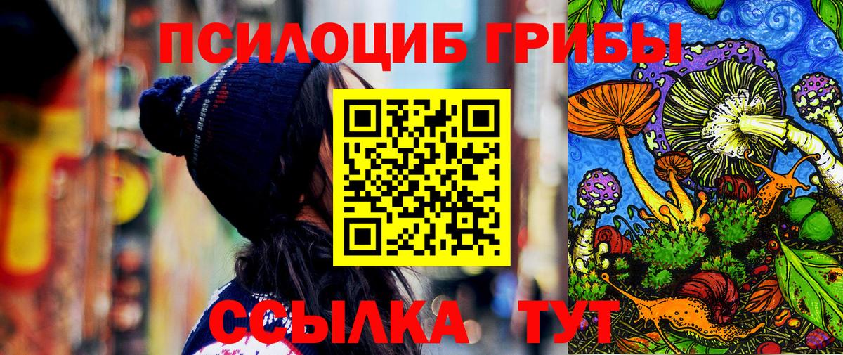 Галлюциногенные грибы Psilocybine cubensis  Киров  Псилоцибиновые грибы Cubensis 