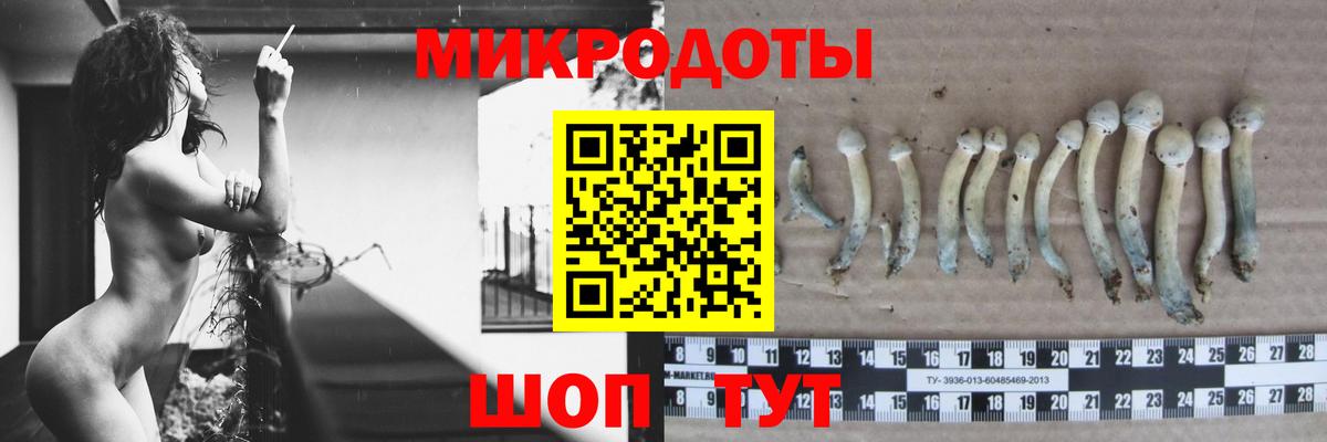 A PVP Киров