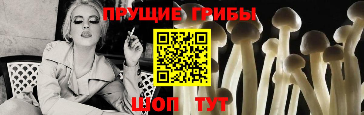 Псилоцибиновые грибы ЛСД Киров